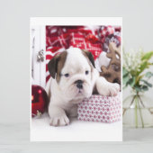 Cute Puppy English Bulldog | Vreemde kerst (Staand voorkant)