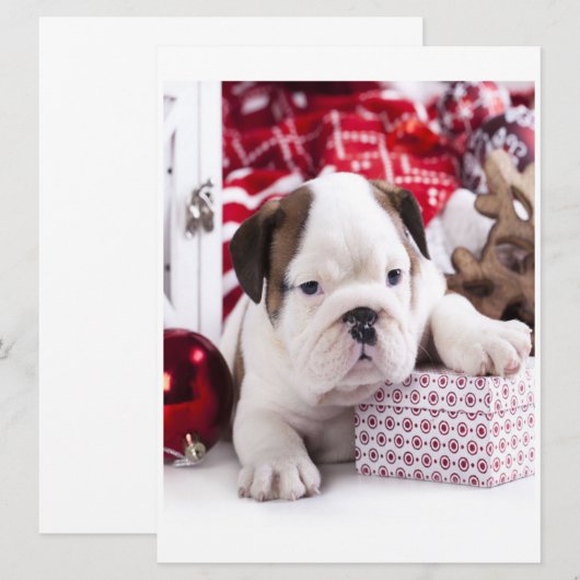 Cute Puppy English Bulldog | Vreemde kerst (Voorkant / Achterkant)