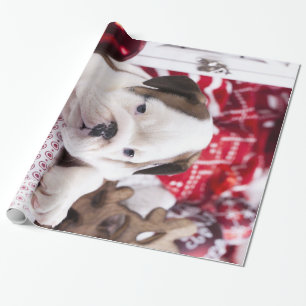 Cute Puppy English Bulldog   Vreemde kerst Cadeaupapier