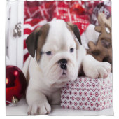 Cute Puppy English Bulldog | Vreemde kerst Douchegordijn (Voorkant)