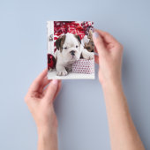 Cute Puppy English Bulldog | Vreemde kerst Flyer (Hand)