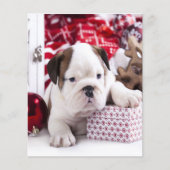Cute Puppy English Bulldog | Vreemde kerst Flyer (Voorkant)