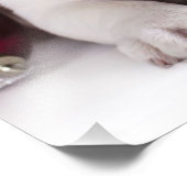 Cute Puppy English Bulldog | Vreemde kerst Foto Afdruk (Hoek)