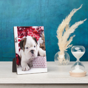 Cute Puppy English Bulldog Vreemde kerst Fotoplaat