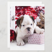 Cute Puppy English Bulldog | Vreemde kerst Menu (Voorkant / Achterkant)
