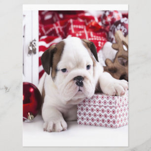 Cute Puppy English Bulldog Vreemde kerst Menu