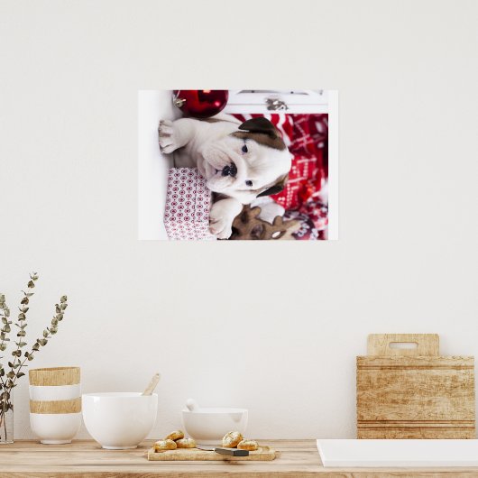 Cute Puppy English Bulldog | Vreemde kerst Poster (Keuken)