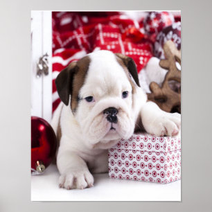 Cute Puppy English Bulldog Vreemde kerst Poster