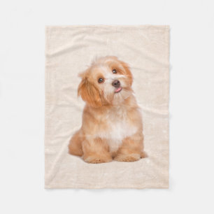 Cute Puppy Havanese Puppy Fleece Blanket Deken