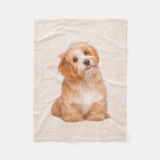 Cute Puppy Havanese Puppy Fleece Blanket Deken (Voorkant)