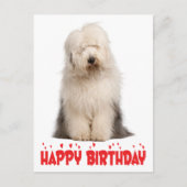 Cute Puppy Hond Oud-Engelse Schaapshond Verjaardag Briefkaart (Voorkant)
