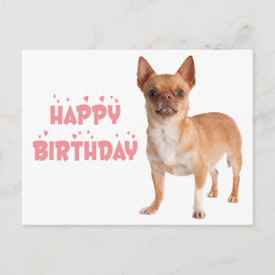 Cute Puppy Hond Verjaardag Grappige Chihuahua Verj Briefkaart