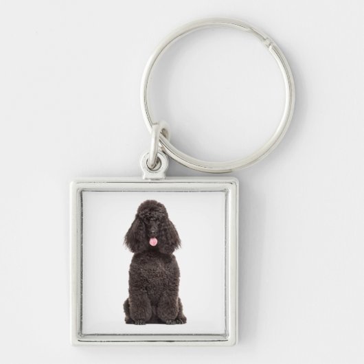 Cute Puppy Hondenliefhebber Black Poodle Sleutelhanger (Voorkant)