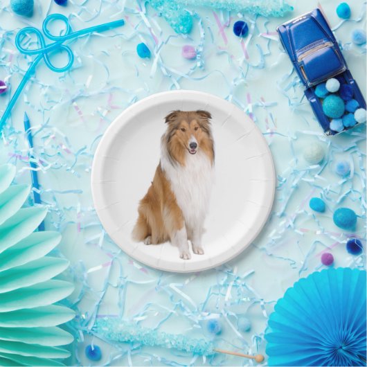 Cute Puppy Hondenliefhebber Collie Papieren Bordje (Feest)