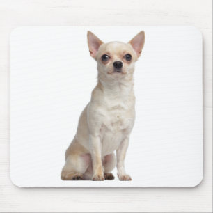 Cute Puppy Hondenliefhebber Gift Funny Chihuahua Muismat
