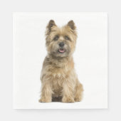Cute Puppy Hondenliefhebber Party Cairn Terrier Fa Servet (Voorkant)