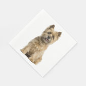 Cute Puppy Hondenliefhebber Party Cairn Terrier Fa Servet (Hoek)
