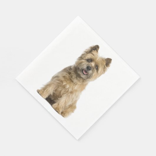 Cute Puppy Hondenliefhebber Party Cairn Terrier Fa Servet (Hoek)