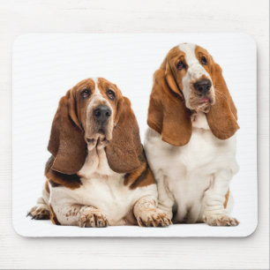 Cute Puppy Hondenliefhebbers Gift Basset Hond Muismat