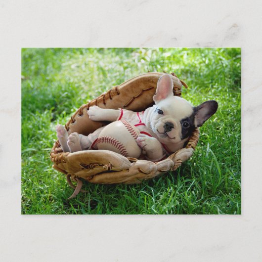 Cute Puppy in een Baseball Mitt Briefkaart (Voorkant)