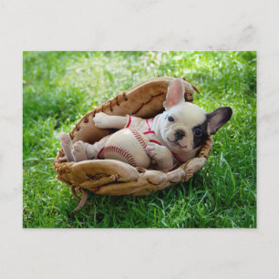 Cute Puppy in een Baseball Mitt Briefkaart
