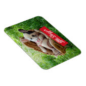 Cute Puppy in een Baseball Mitt Magneet (Rechterzijde)