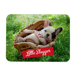 Cute Puppy in een Baseball Mitt Magneet