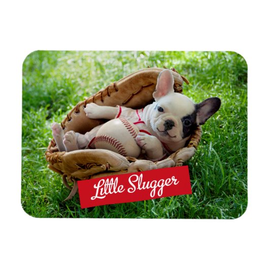 Cute Puppy in een Baseball Mitt Magneet (Horizontaal)