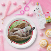 Cute Puppy in een Baseball Mitt Papieren Bordje (Feest)