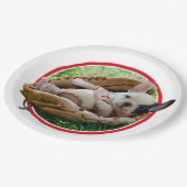 Cute Puppy in een Baseball Mitt Papieren Bordje (Gekanteld)