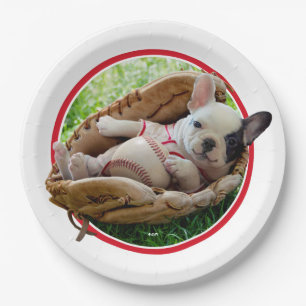 Cute Puppy in een Baseball Mitt Papieren Bordje