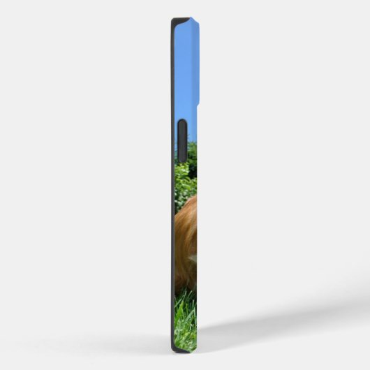 Cute Puppy in Garden Photo Case-Mate iPhone Case (Achterkant / Rechts)