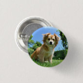 Cute Puppy in Garden Photo Ronde Button 3,2 Cm (Voorkant /achterkant)