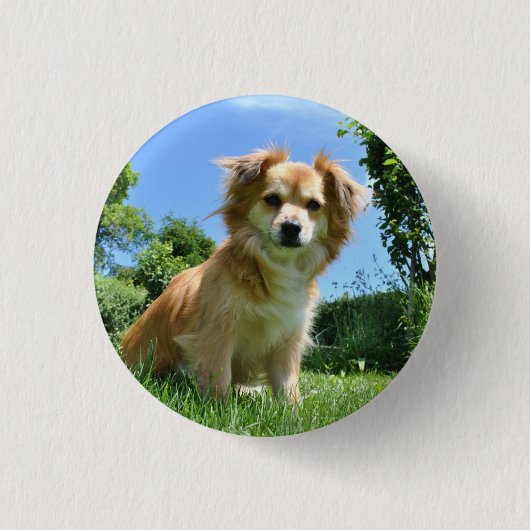 Cute Puppy in Garden Photo Ronde Button 3,2 Cm (Voorkant)