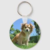 Cute Puppy in Garden Photo Sleutelhanger (Voorkant)