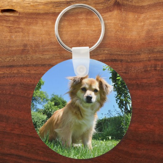 Cute Puppy in Garden Photo Sleutelhanger (Voorkant)