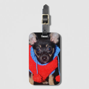 Cute Puppy in Red Wool Sweater Bagagelabel