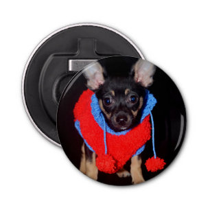 Cute Puppy in Red Wool Sweater Button Flesopener