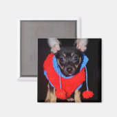Cute Puppy in Red Wool Sweater Magneet (Voorkant / Achterkant)