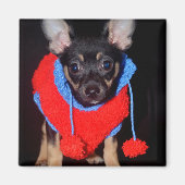 Cute Puppy in Red Wool Sweater Magneet (Voorkant)