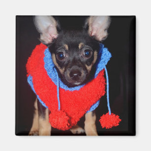 Cute Puppy in Red Wool Sweater Magneet