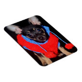 Cute Puppy in Red Wool Sweater Magneet (Rechterzijde)