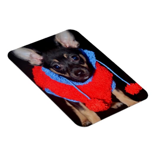 Cute Puppy in Red Wool Sweater Magneet (Rechterzijde)