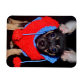 Cute Puppy in Red Wool Sweater Magneet (Horizontaal)