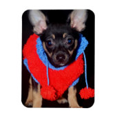 Cute Puppy in Red Wool Sweater Magneet (Verticaal)
