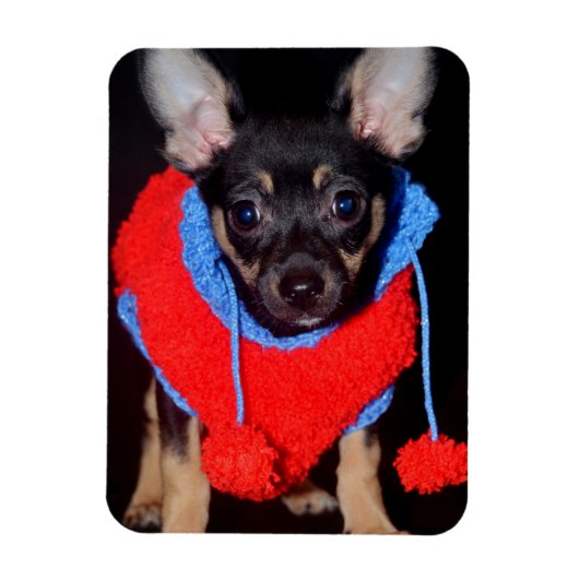 Cute Puppy in Red Wool Sweater Magneet (Verticaal)