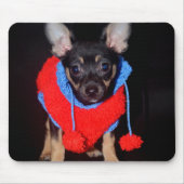 Cute Puppy in Red Wool Sweater Muismat (Voorkant)