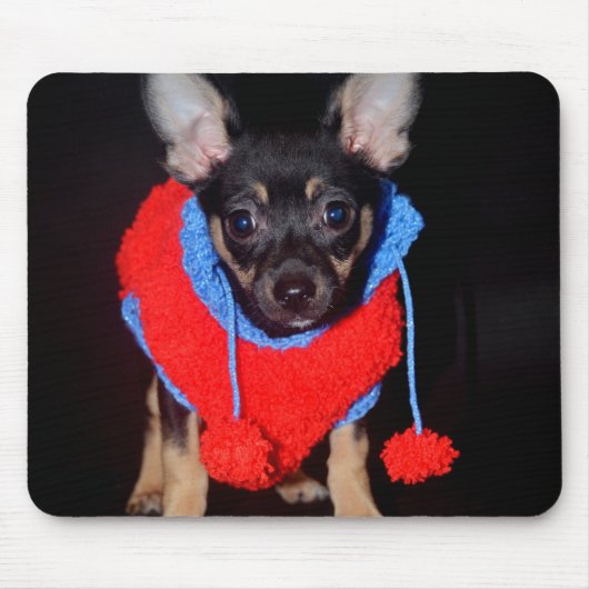 Cute Puppy in Red Wool Sweater Muismat (Voorkant)