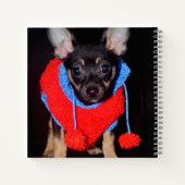 Cute Puppy in Red Wool Sweater Notitieboek (Achterkant)