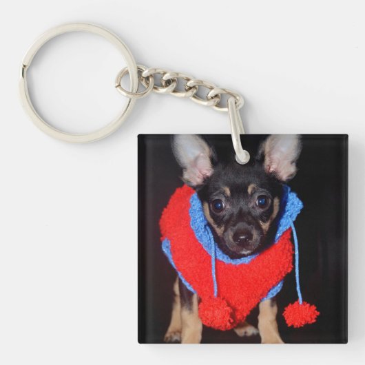Cute Puppy in Red Wool Sweater Sleutelhanger (Voorkant)